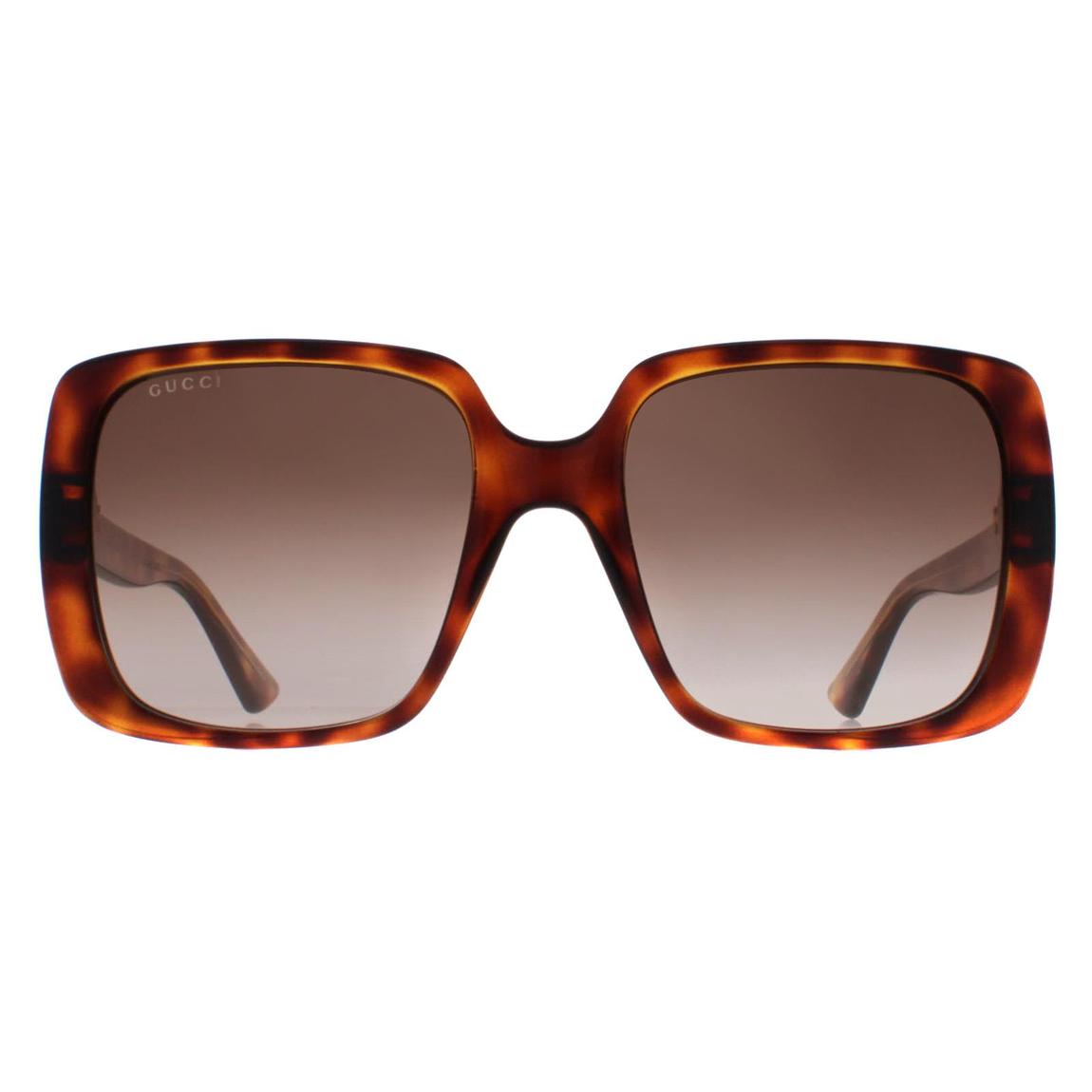Women's Gucci Havana/Brown Sunglasses 56mm main product photo