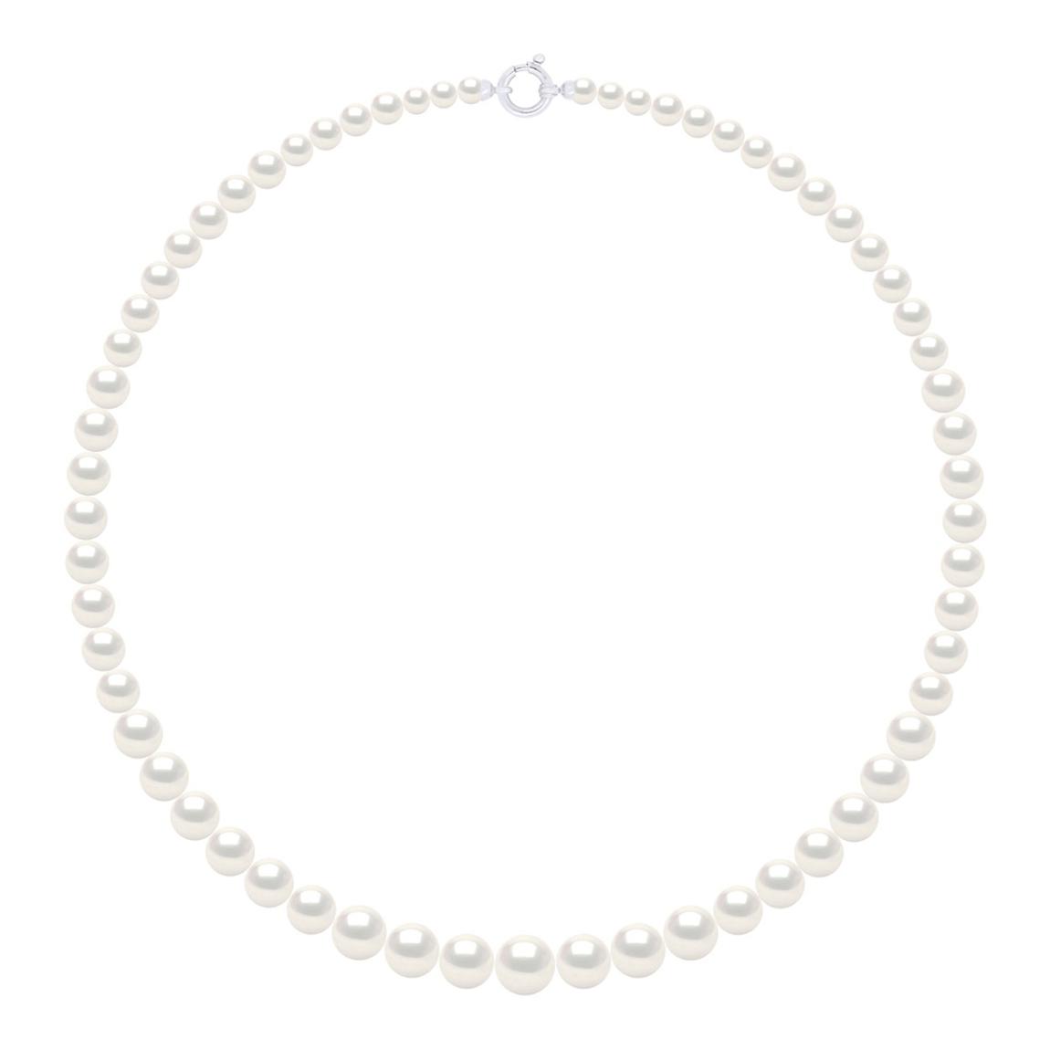 White Row of Real Freshwater Pearls Semi Round Gold Necklace main product photo