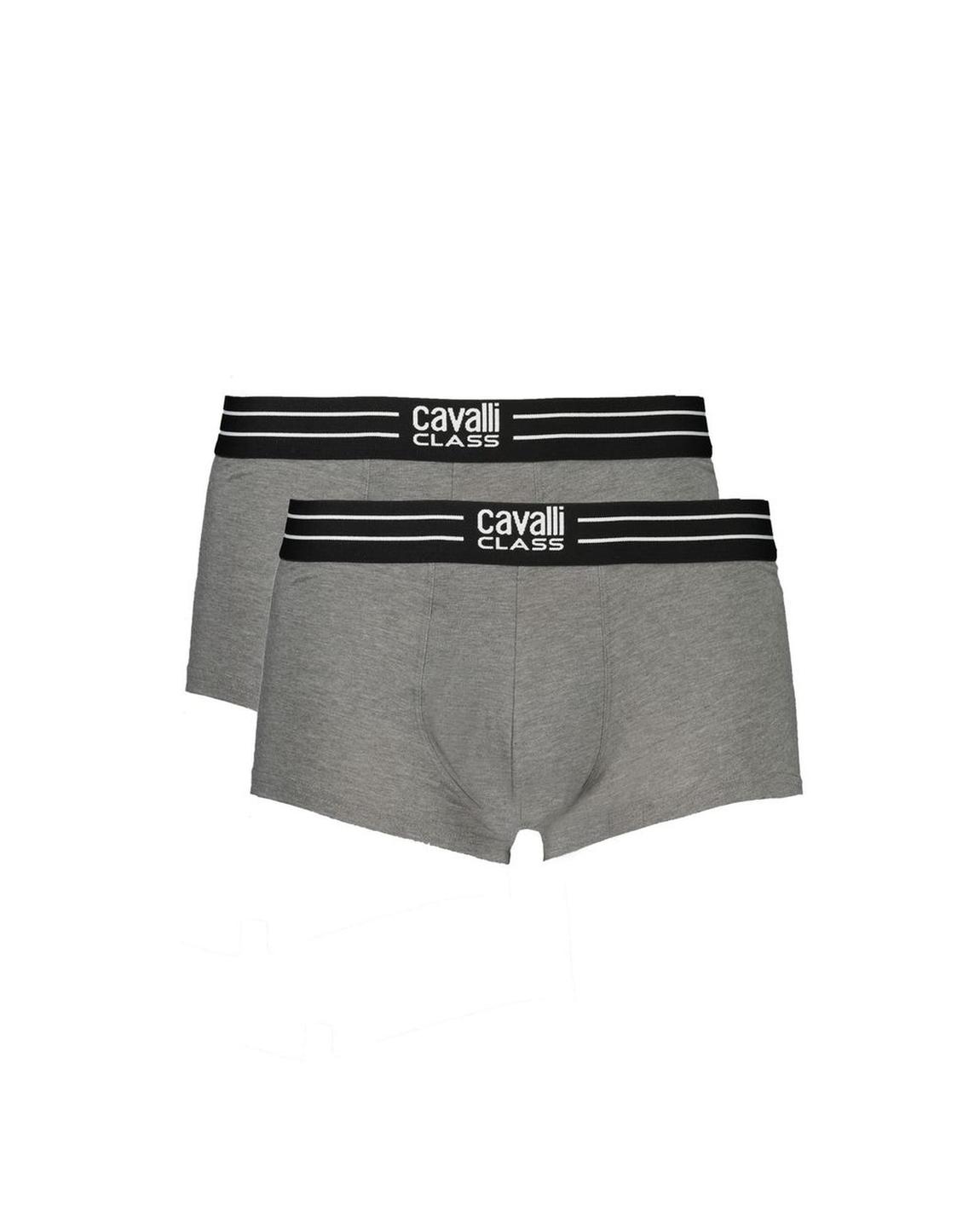 Trunk 2Pack Boxer Briefs - Gray Underwear main product photo