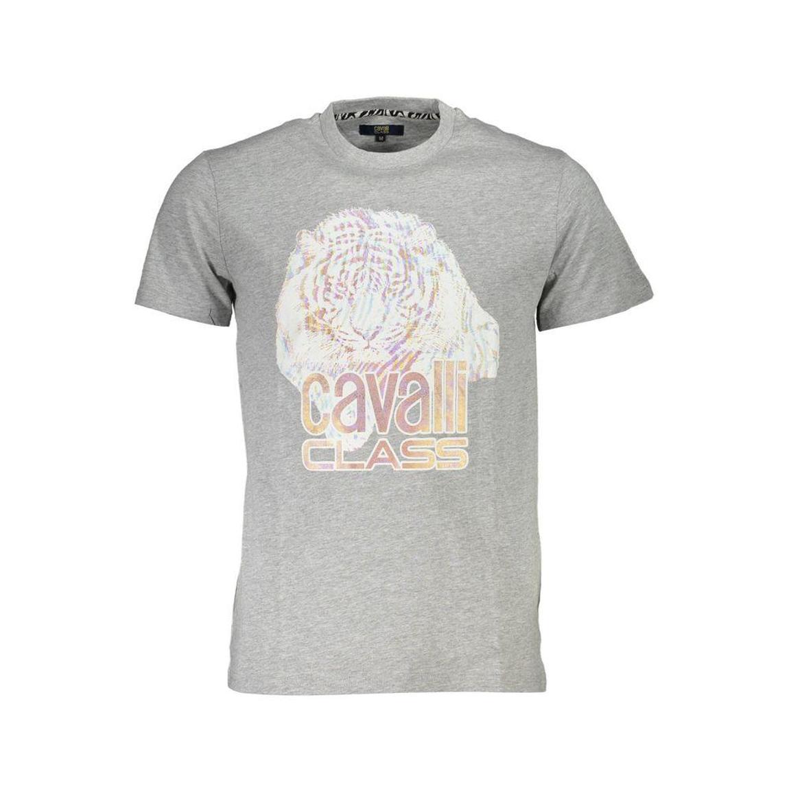 Tiger Graphic Tee Iridescent Print - Brown T-Shirts main product photo