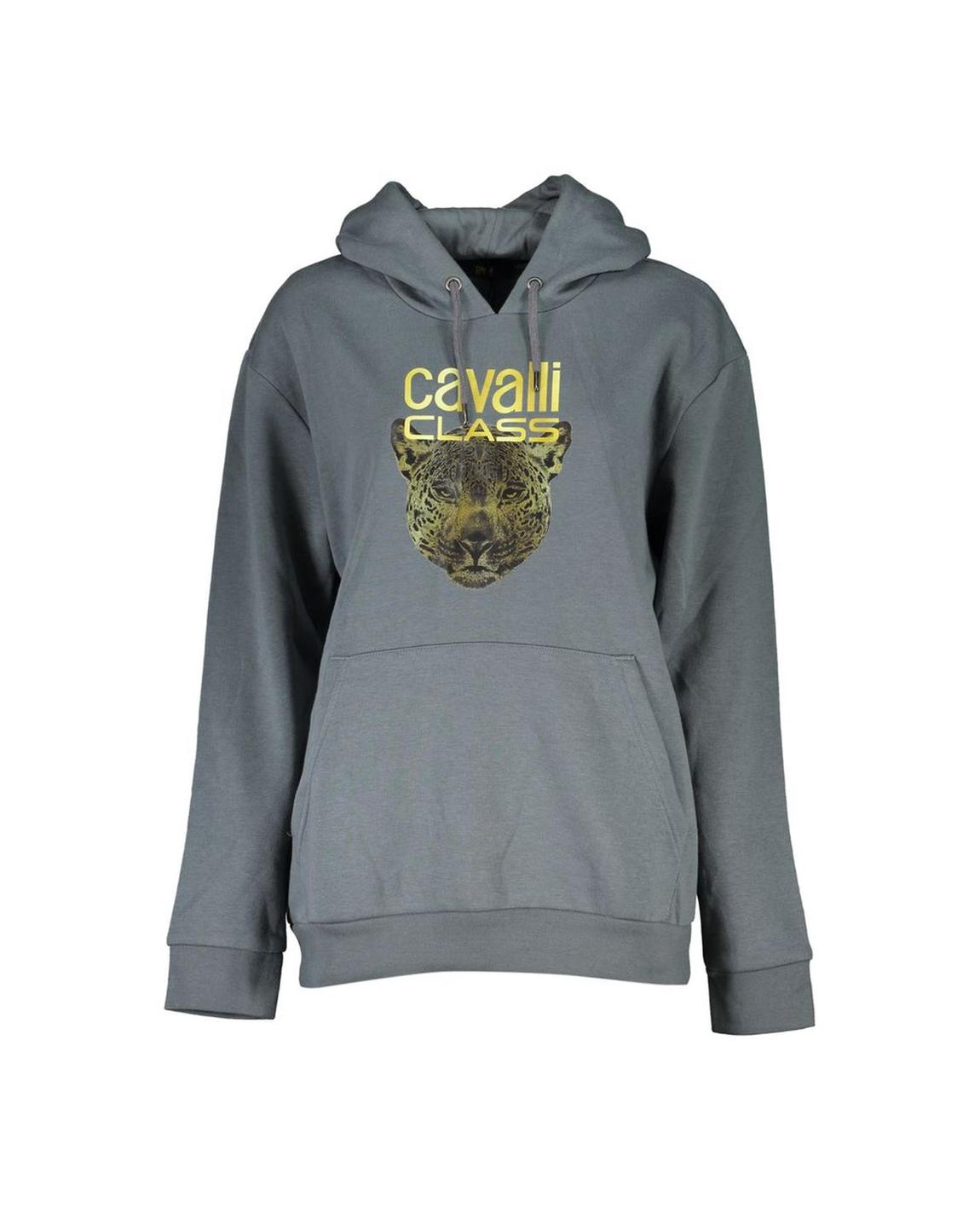 Leopard Hoodie CA28859 Wo - Gray Sweaters main product photo