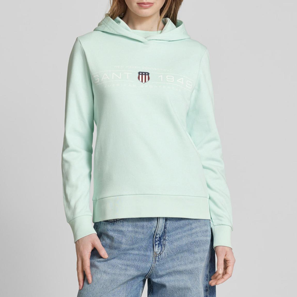 Mint Green Regular Shield Hoodie main product photo