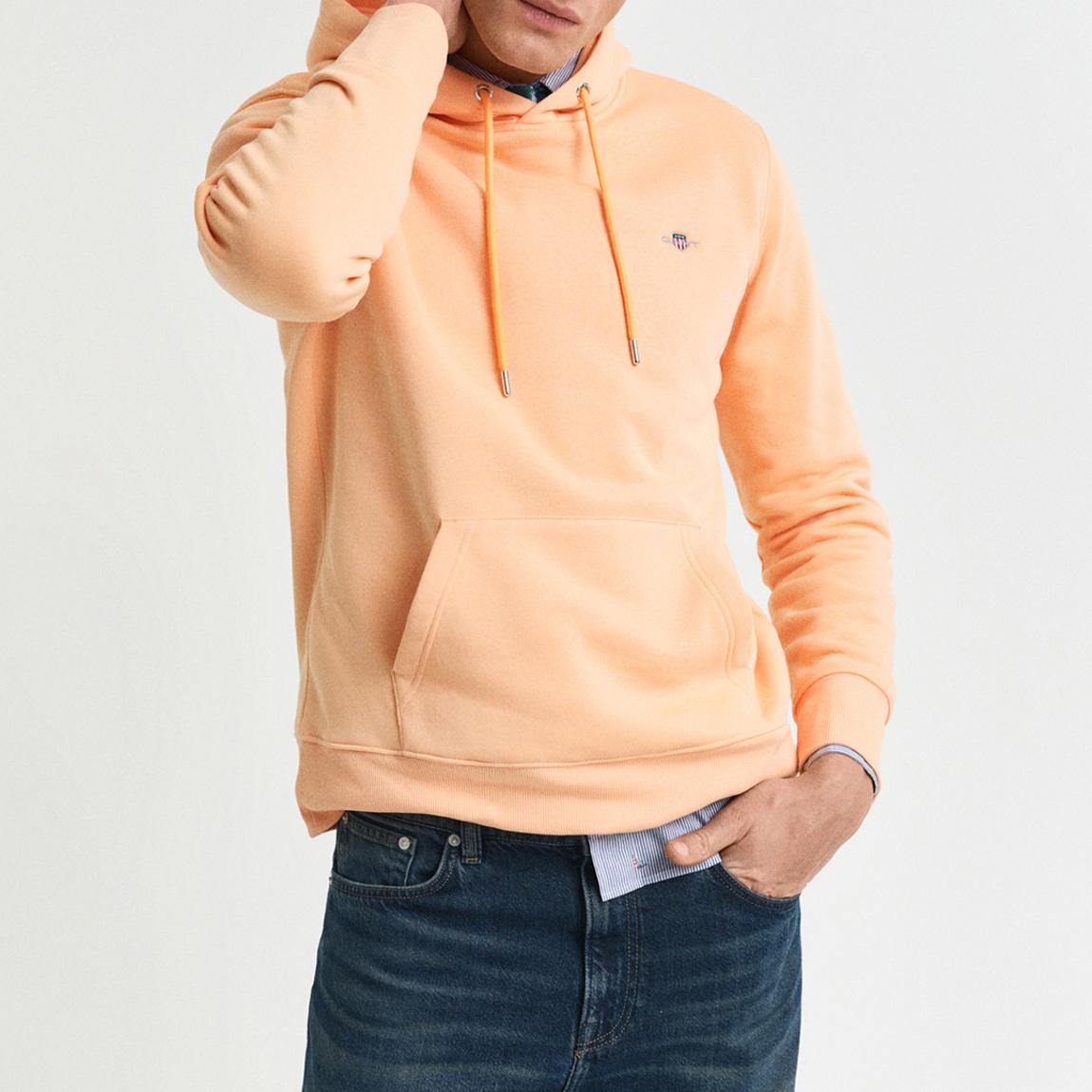 Peach Shield Hooded Sweater main product photo