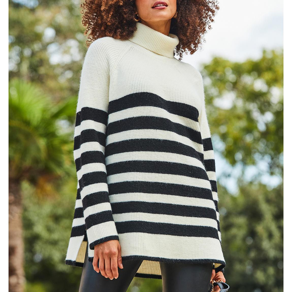 Cream Black Stripe Roll Neck Jumper main product photo