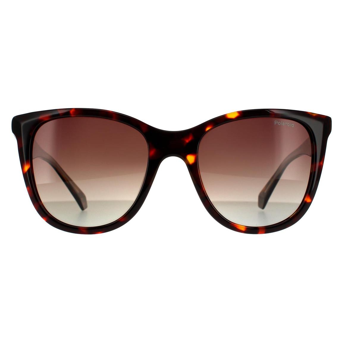 Polaroid Sunglasses PLD 4096/S/X 086 LA Havana Brown  Brown Gradient Polarized main product photo