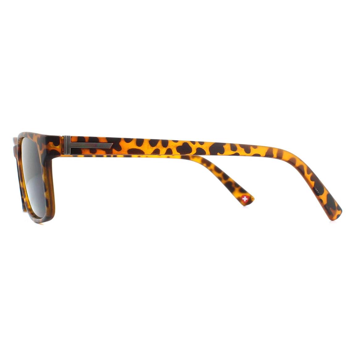 Montana Sunreaders MR73AS Havana Green Readers +1.50 main product photo