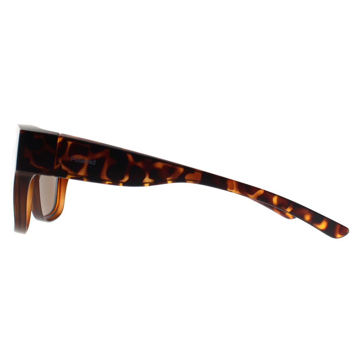 Polaroid Sunglasses PLD 9010/S Fitover N9P SP Matte Havana Bronze Polarized main product photo