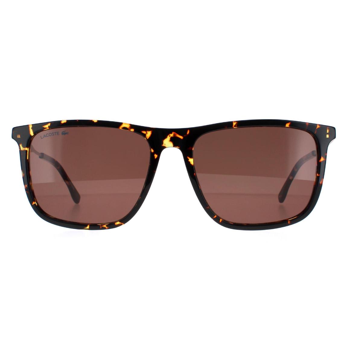 Lacoste Sunglasses L945S 214 Havana Brown main product photo