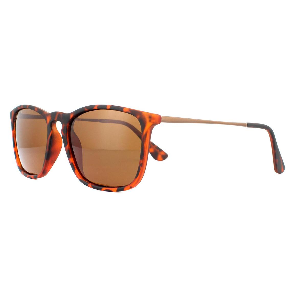 Montana Sunglasses MP34 C Brown Turtle Rubbertouch Brown Polarized main product photo