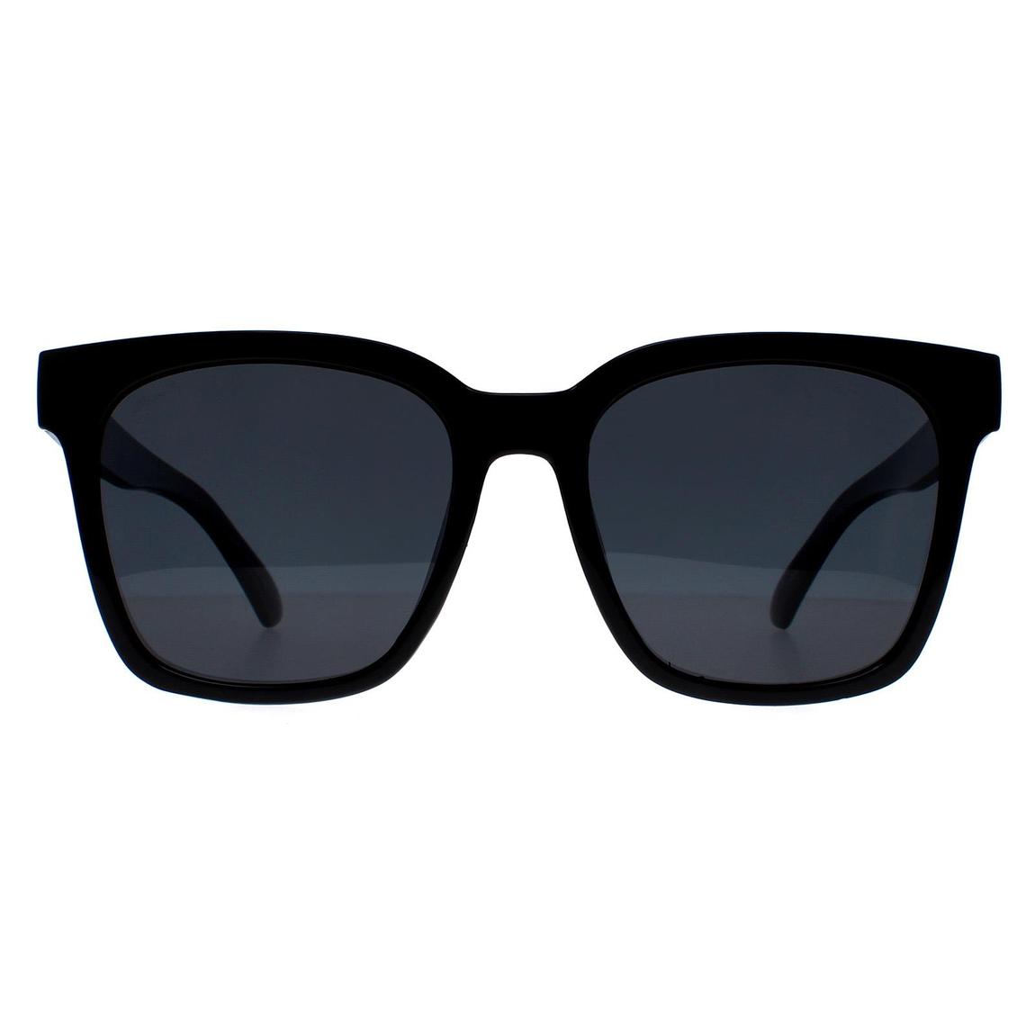 Montana Sunglasses MP72 Shiny Black Grey Polarized main product photo