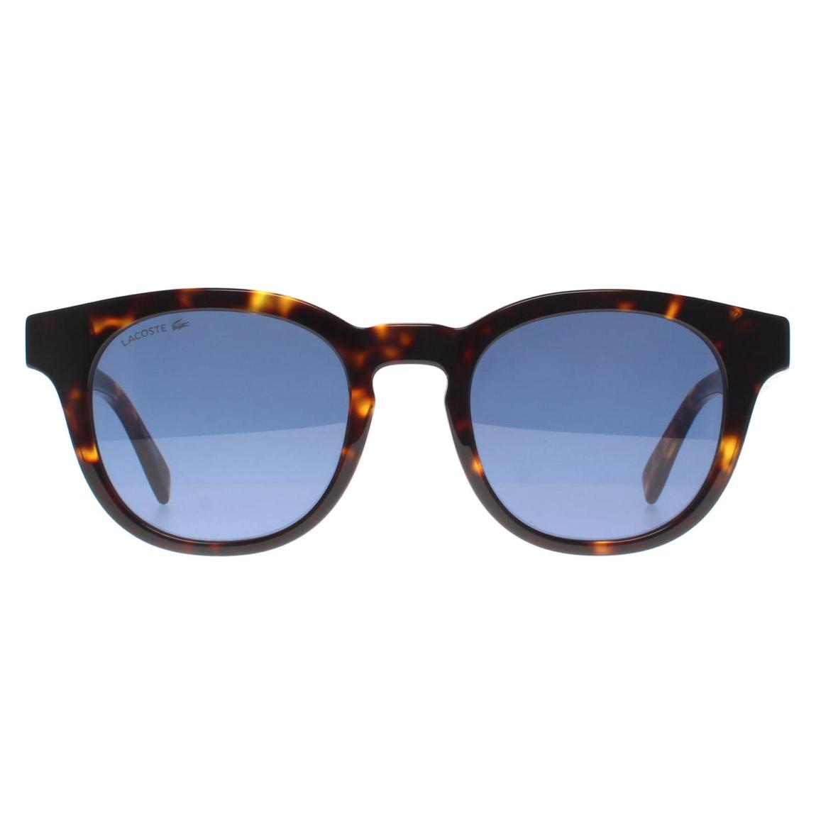 Lacoste Sunglasses L6006S 230 Dark Havana Blue main product photo