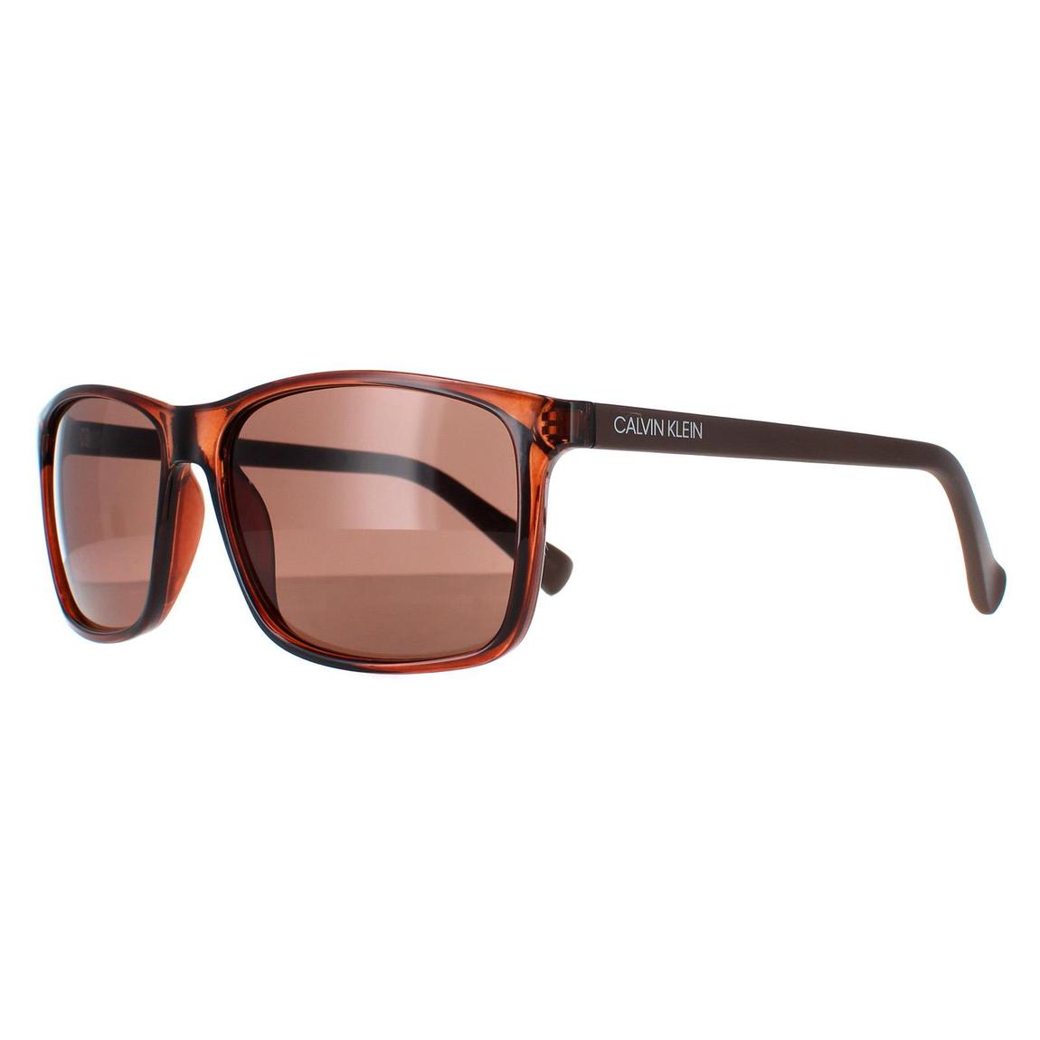 Calvin Klein Sunglasses CK19568S 210 Crystal Brown Brown main product photo