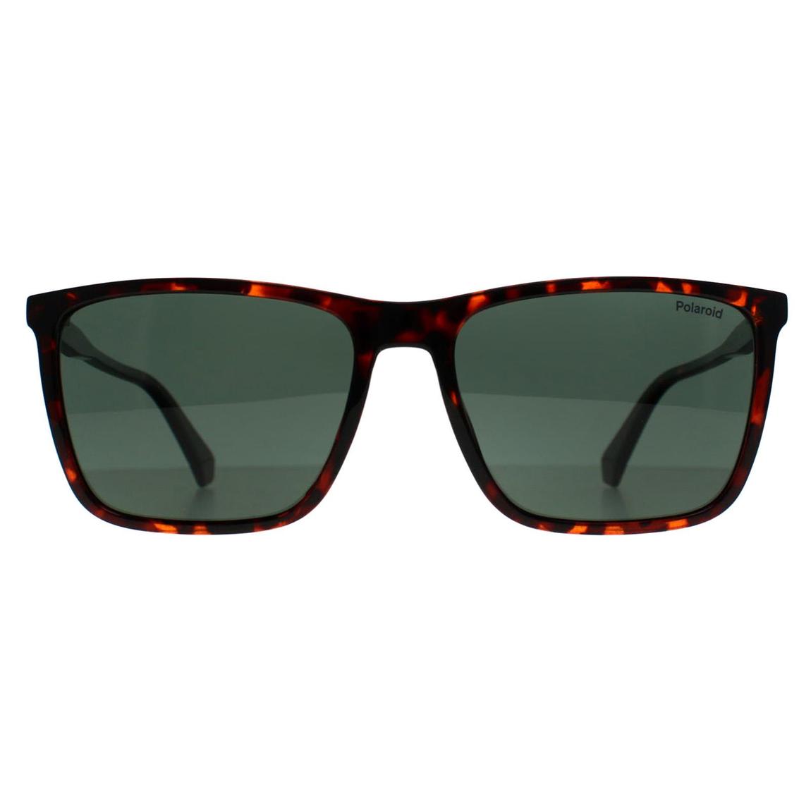 Polaroid Sunglasses PLD 4180/S 086 UC Havana Green Polarized main product photo