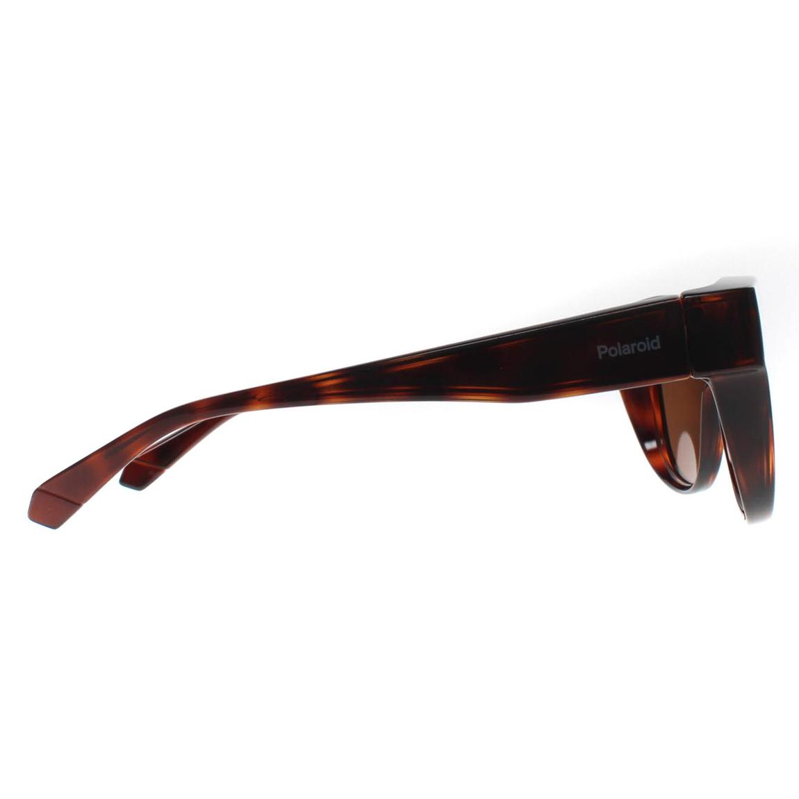 Polaroid Sunglasses PLD 9013/S Fitover 9N4 SP Havana Bronze Polarized main product photo