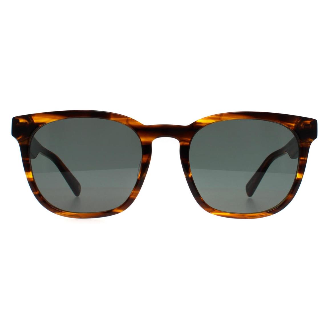 Banana Republic Sunglasses BR 4007/S 09Q QT Brown Green main product photo