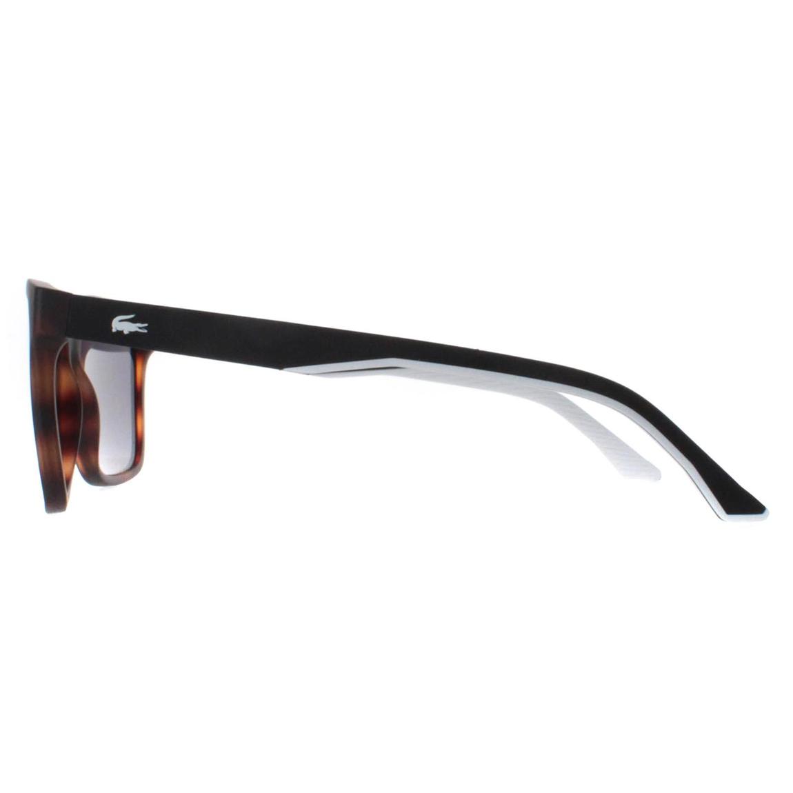 Lacoste Sunglasses L972S 230 Matte Havana Grey main product photo
