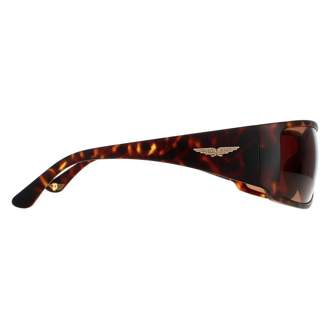 Police Sunglasses SPLB46 Origins 40 0738 Havana Brown main product photo