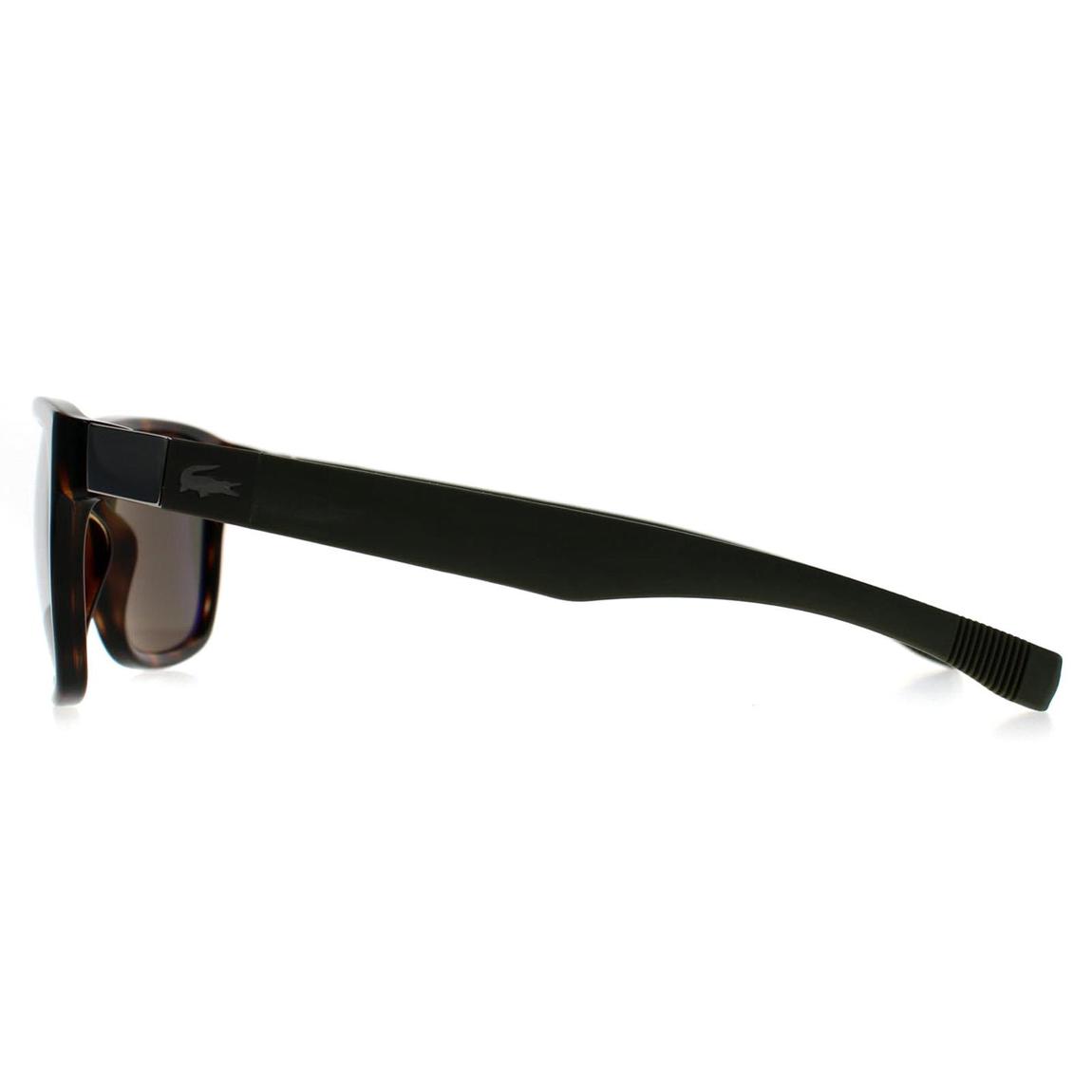 Lacoste Sunglasses L664S 220 Dark Havana Green main product photo
