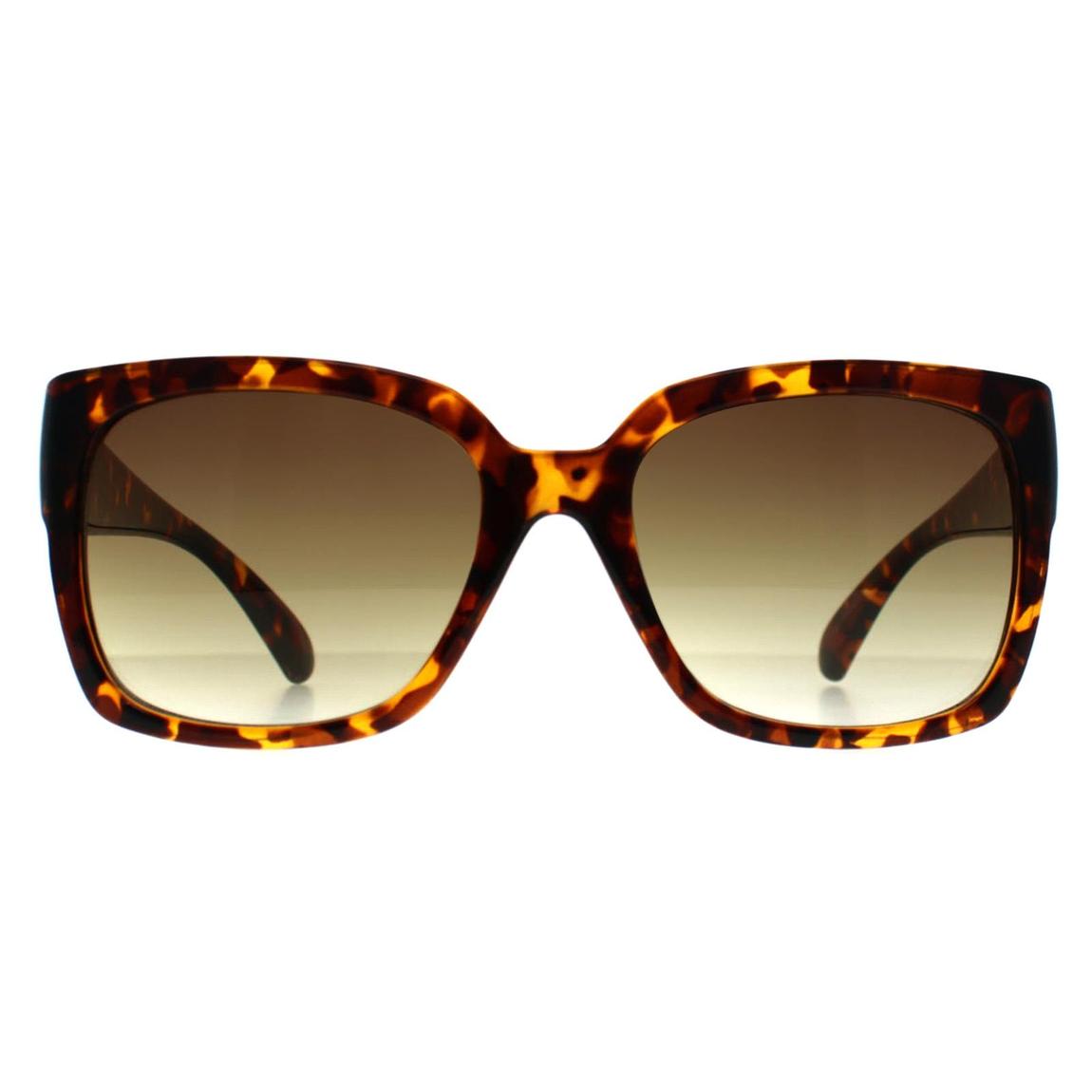 Calvin Klein Sunglasses CK22549S 240 Shiny Havana Brown Gradient main product photo