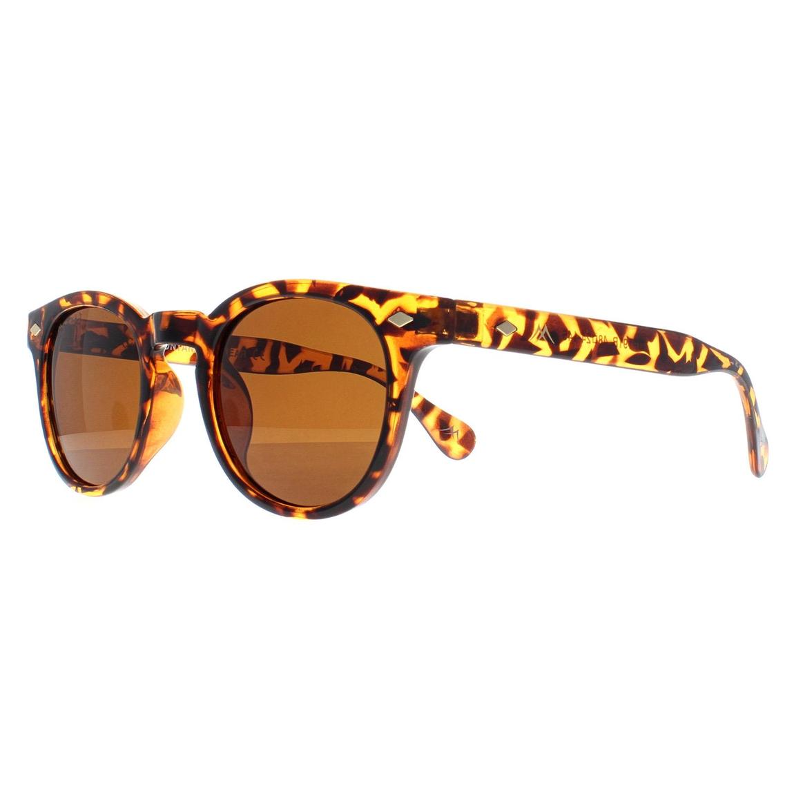 Montana Sunglasses MP191 B Shiny Turtle Brown Polarized main product photo
