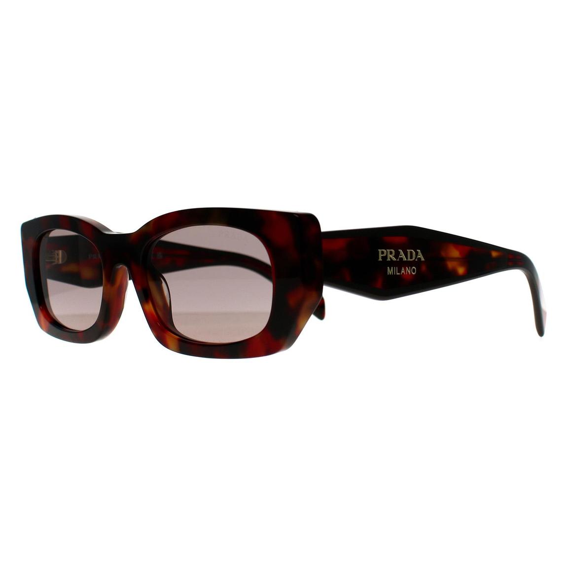 Prada Sunglasses PRB05S 22A20I Poppy Tortoise Light Purple Brown main product photo