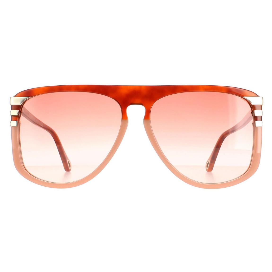 Chloe Sunglasses CH0104S 006 Shiny Blonde Havana Orange Gradient main product photo