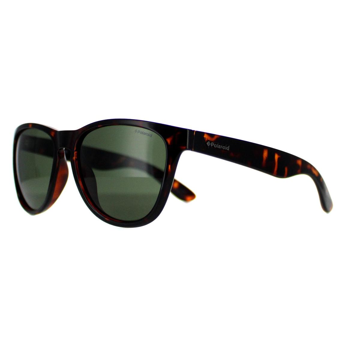 Polaroid Plus Sunglasses PLD 1007/S V08 H8 Havana Green Polarized main product photo