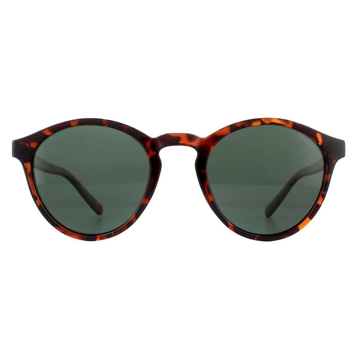 Polaroid Sunglasses PLD 1013/S V08 H8 Havana Green Polarized main product photo