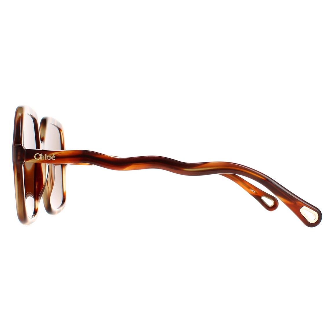 Chloe Sunglasses CH0086S Zelie 005 Havana Brown main product photo