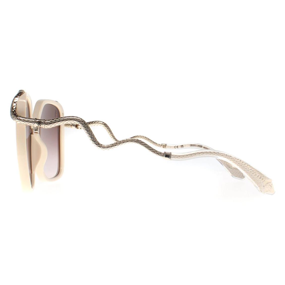Roberto Cavalli Sunglasses SRC003M 09X7 Cream Brown Gradient main product photo