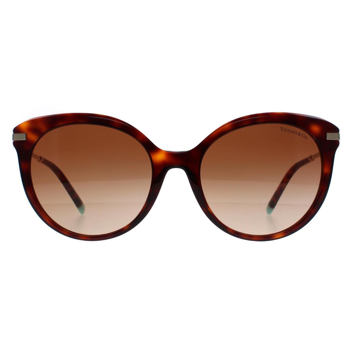Tiffany Sunglasses TF4189 80023B Havana Brown Gradient main product photo