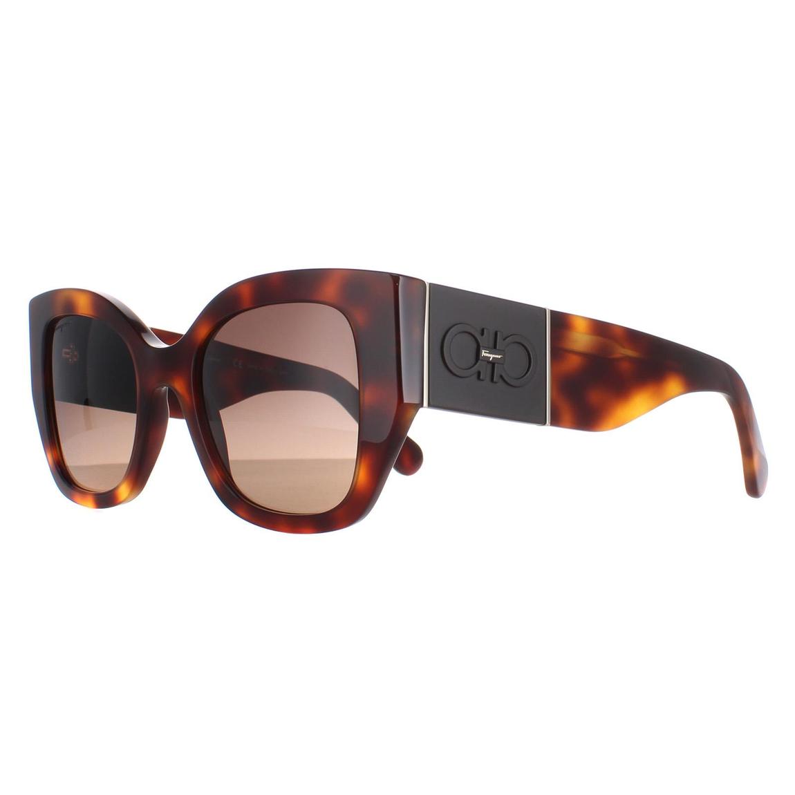 Salvatore Ferragamo Sunglasses SF1045S 238 Classic Tortoise Brown Gradient main product photo