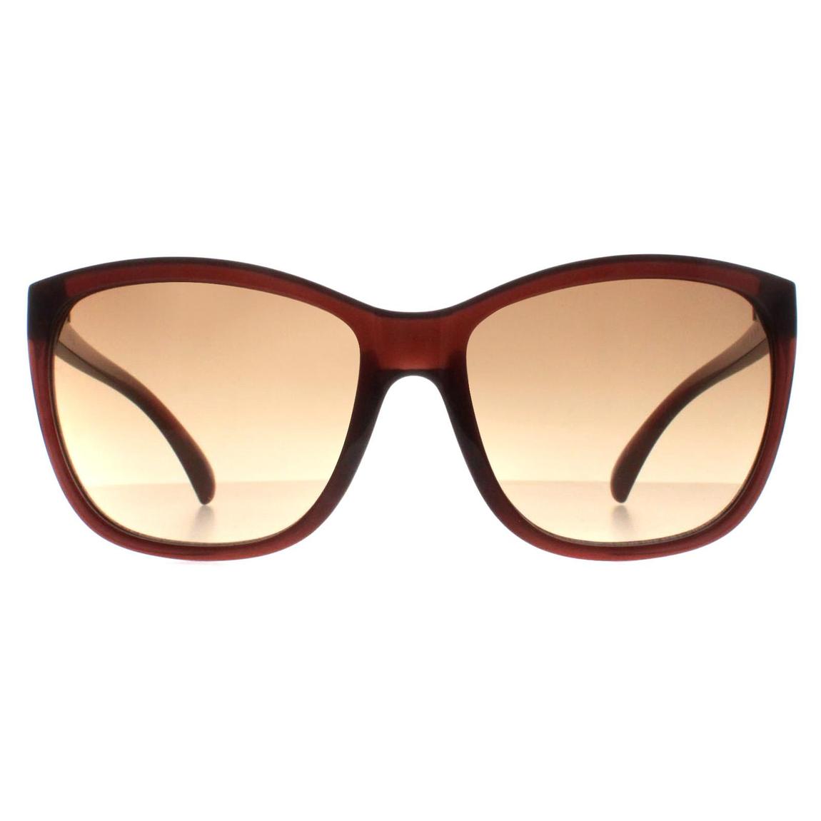 Calvin Klein Sunglasses CK19565S 210 Milky Brown Brown Gradient main product photo