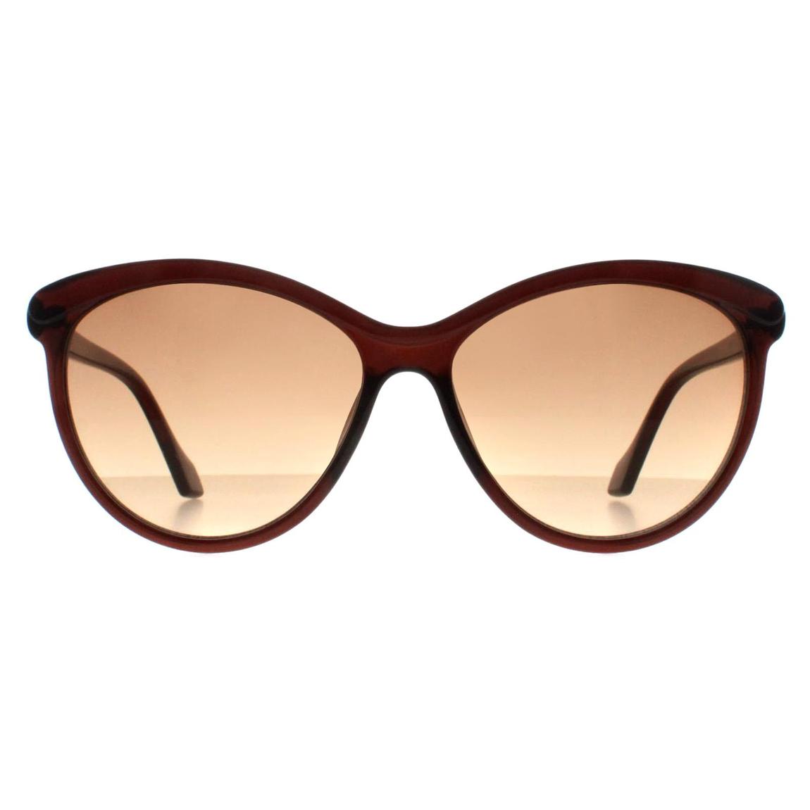 Calvin Klein Sunglasses CK19534S 210 Crystal Brown Brown Gradient main product photo