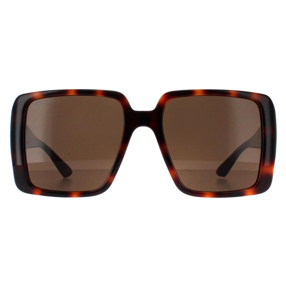 Gucci Sunglasses GG1692S 002 Dark Havana with Gold Dark Brown main product photo