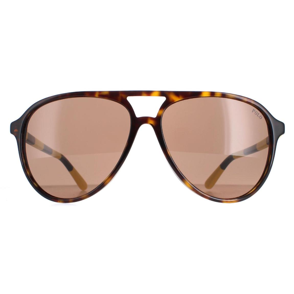 Polo Ralph Lauren Sunglasses PH4173 500373 Shiny Dark Havana Brown main product photo