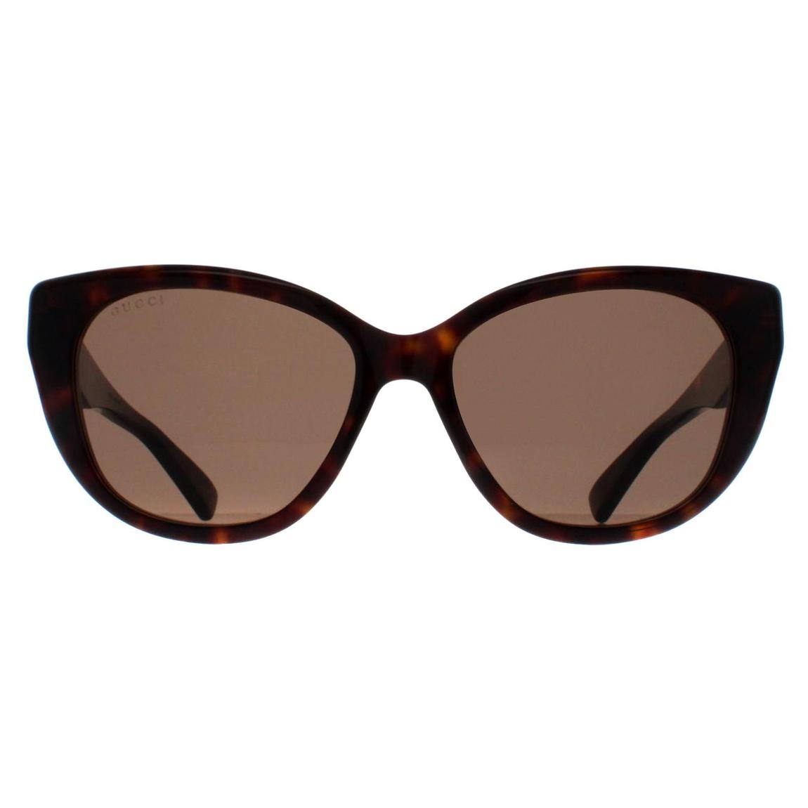 Gucci Sunglasses GG1588S 002 Havana Brown main product photo