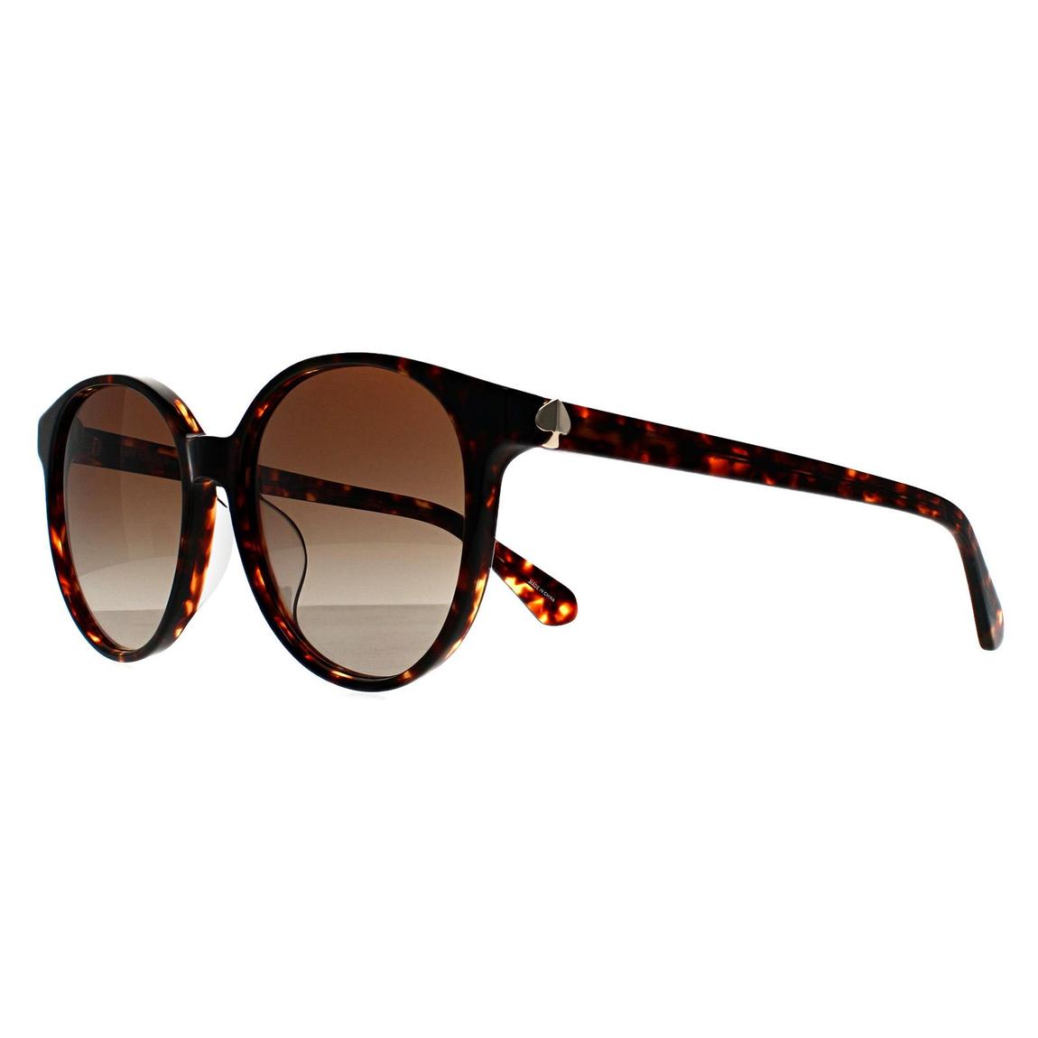 Kate Spade Sunglasses Eliza/F/S 086 LA Havana Brown Gradient main product photo