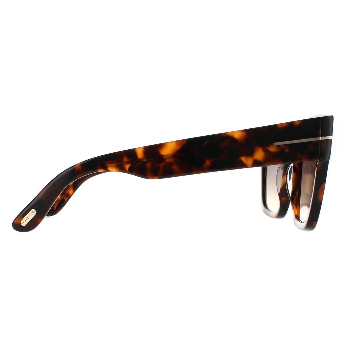 Tom Ford Sunglasses Renee FT0847 52B Dark Havana Smoke Gradient main product photo