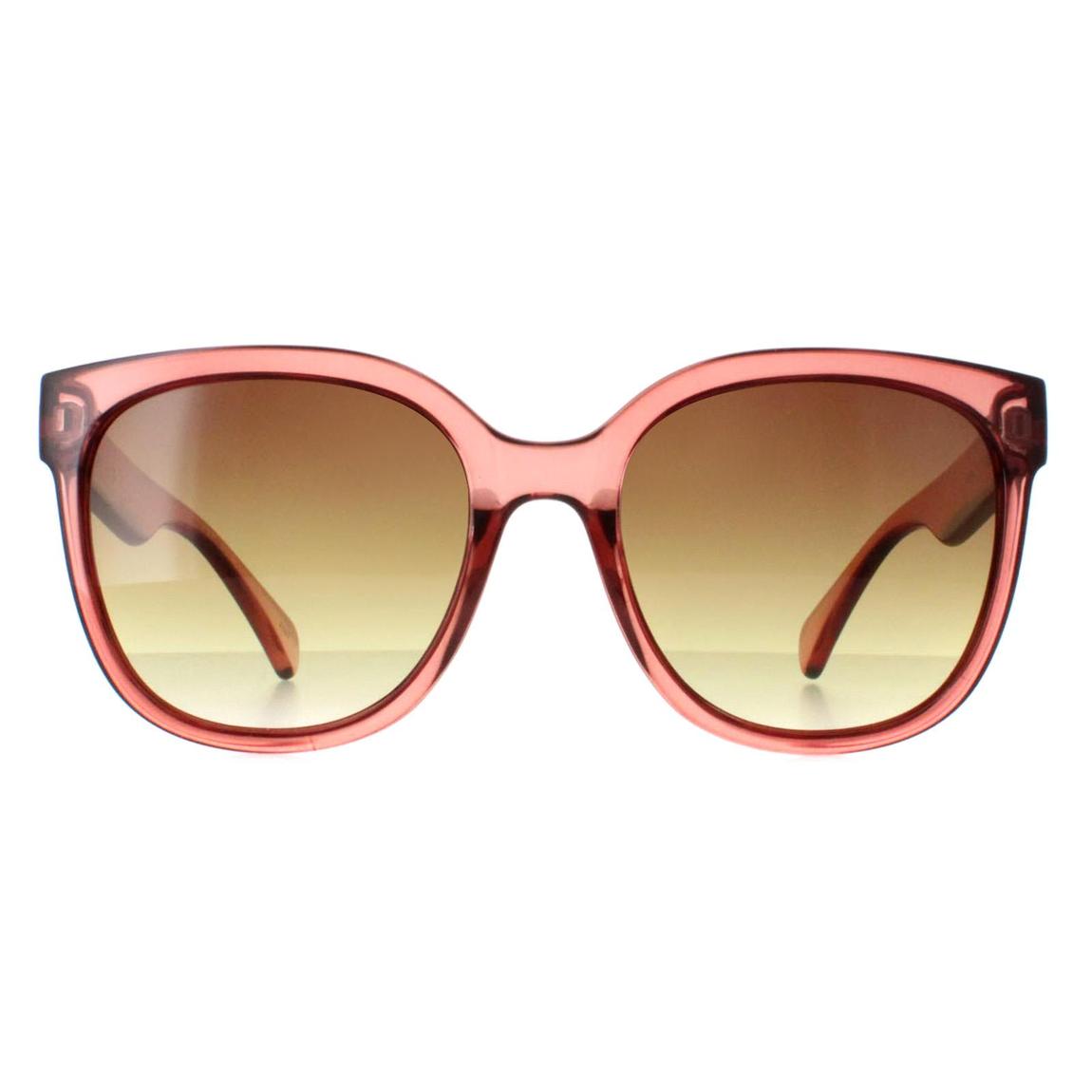 Calvin Klein Sunglasses CK22553S 210 Transparent Brown Brown Gradient main product photo