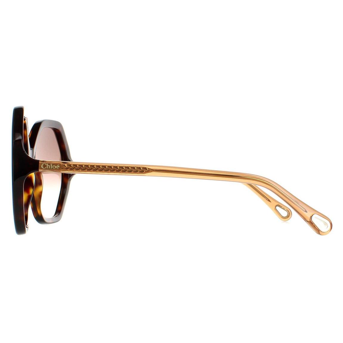 Chloe Sunglasses CH0008S Esther 004 Dark Havana and Brown Crystal Brown Gradient main product photo
