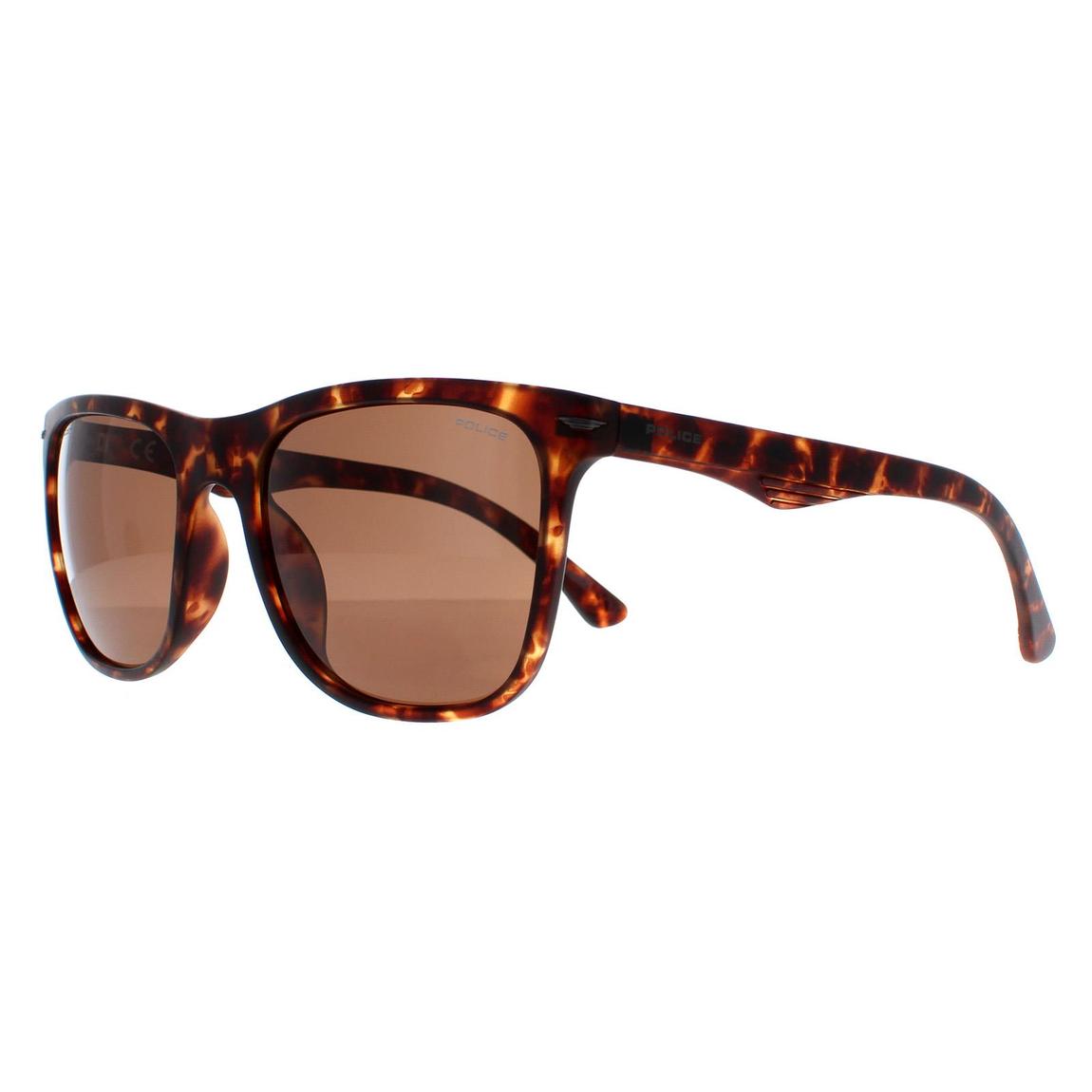 Police Sunglasses SPL357 Blackbird Light 2 878P Matte Dark Havana Brown main product photo