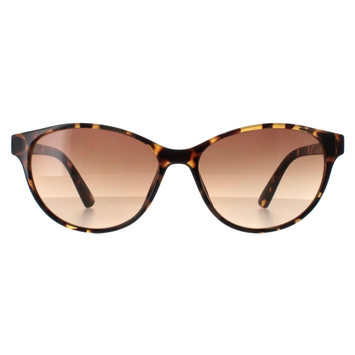 Calvin Klein Sunglasses CK20517S 235 Tortoise Brown Gradient main product photo