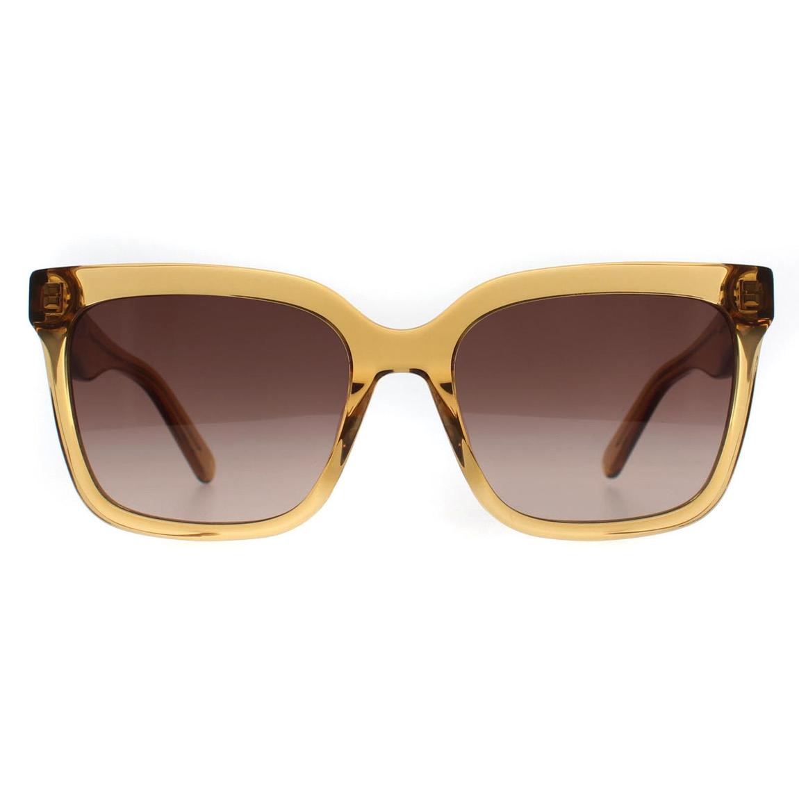 Banana Republic Sunglasses BR 3006/S 2T3 HA Crystal Beige Brown Gradient main product photo