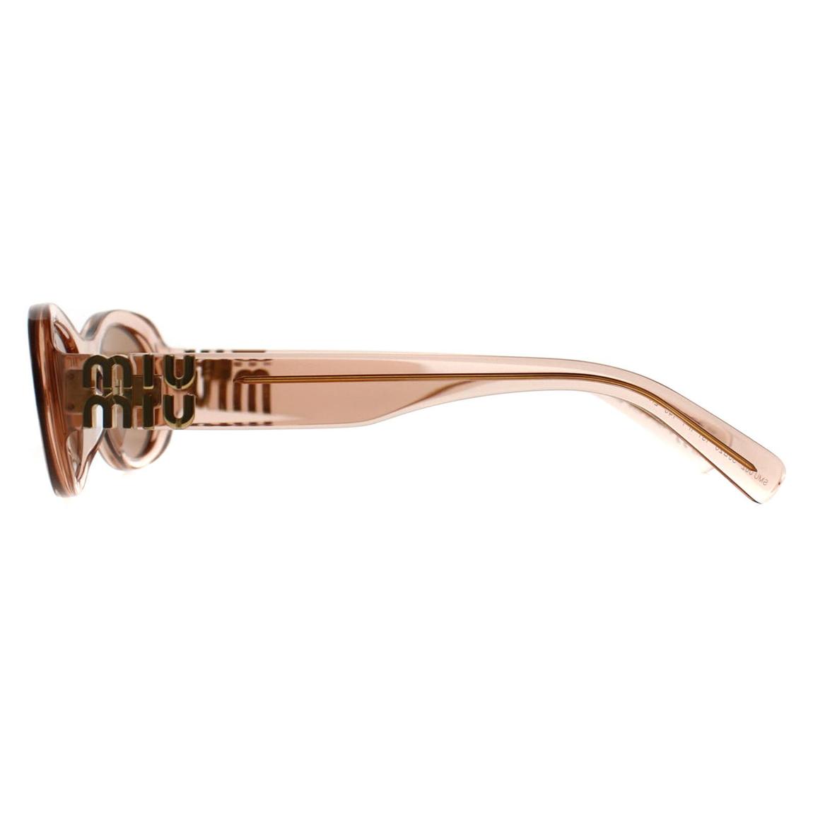 Miu Miu Sunglasses MU06ZS 13T1P1 Noisette Transparent Pink Brown main product photo