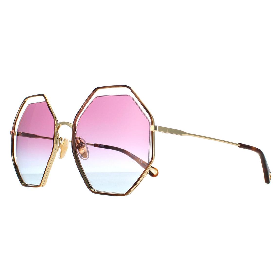 Chloe Sunglasses CH0046S 003 Havana Gold Violet Blue Gradient main product photo