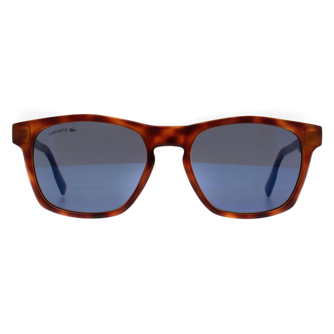 Lacoste Sunglasses L988S 240 Tortoise Blue main product photo