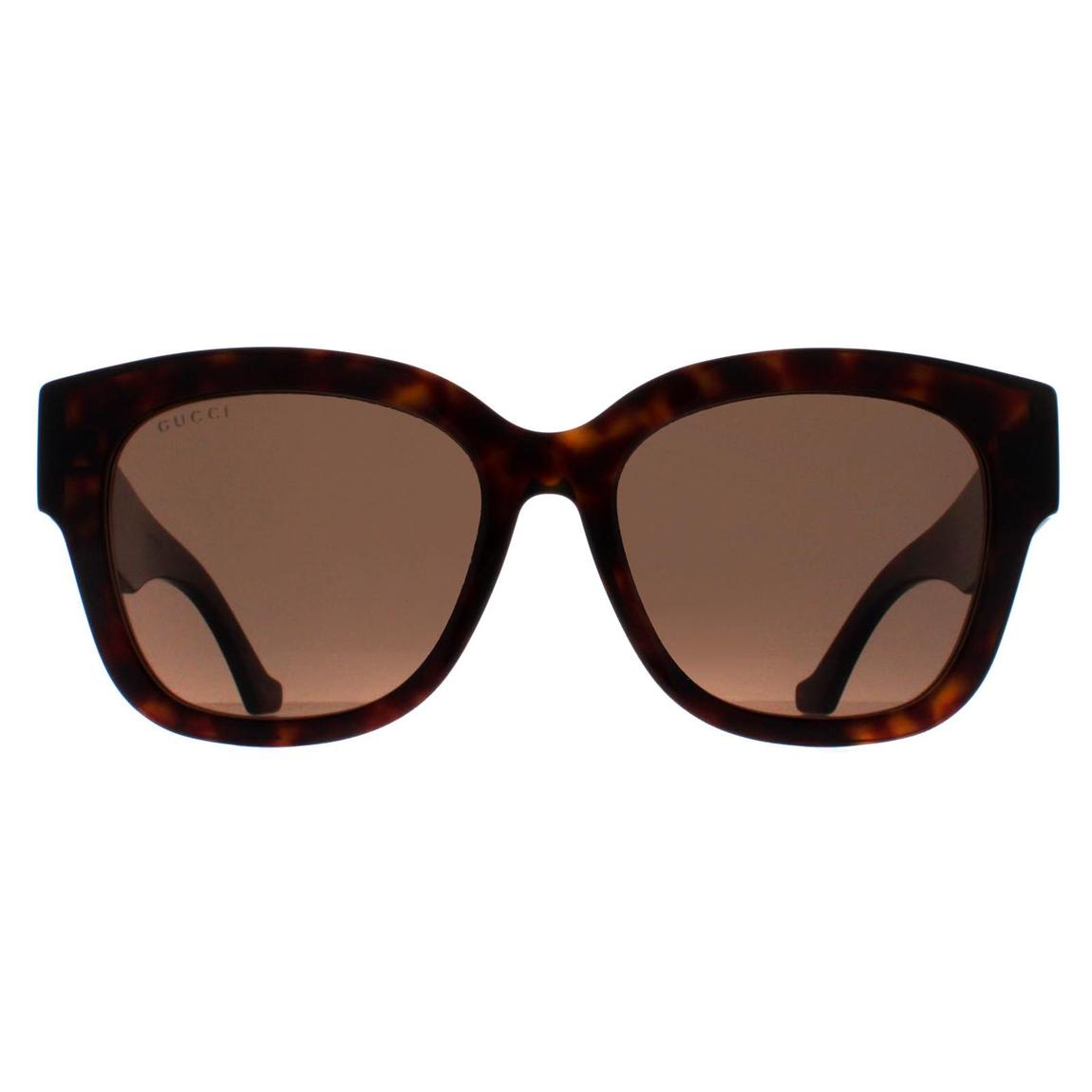 Gucci Sunglasses GG1550SK 002 Havana Brown main product photo