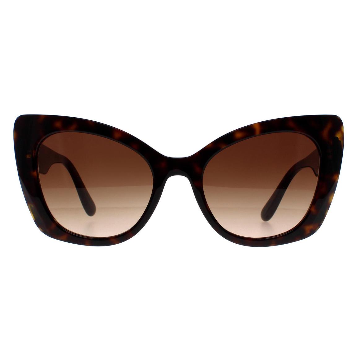 Dolce & Gabbana Sunglasses DG4405 502/13 Havana Brown Gradient main product photo