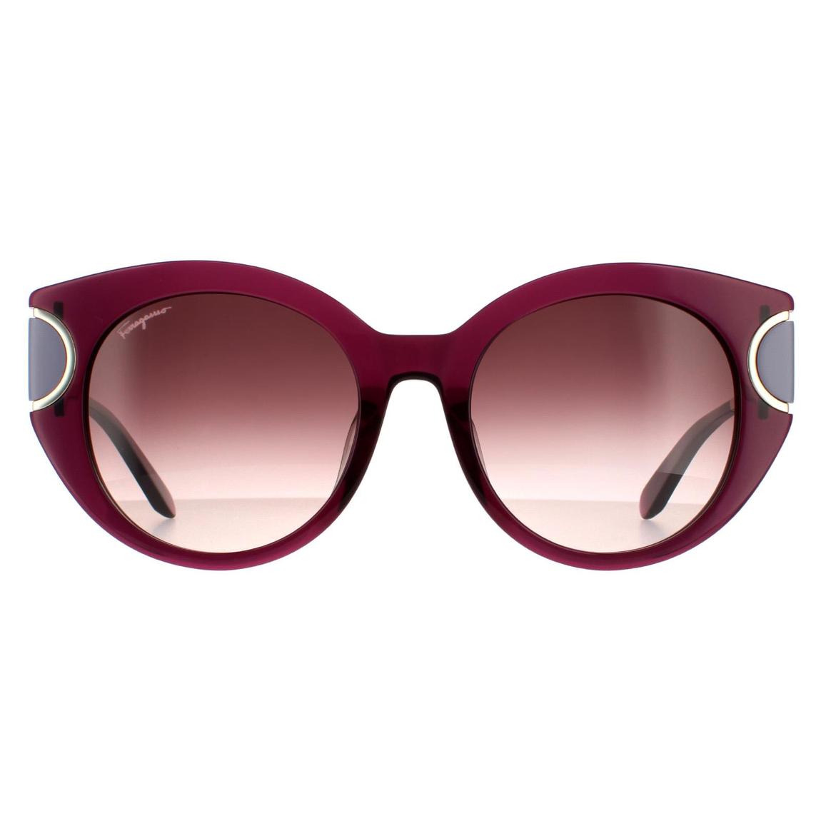 Salvatore Ferragamo Sunglasses SF840SA 500 Violet Brown Wine Gradient main product photo
